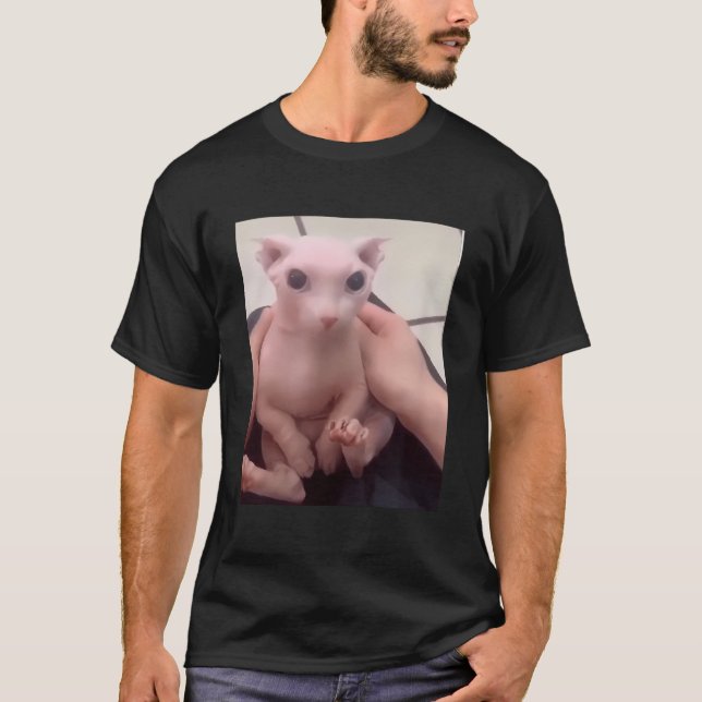 Camiseta Bingus Cachorro Meu Querido Gato De Esfinge Sem Ca (Frente)