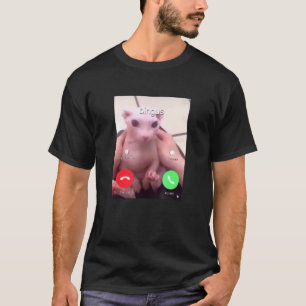 Camiseta Bingus Está Chamando Meu Amado Gato Sphynx Sem Pel