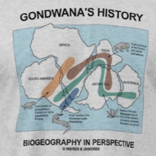 Camiseta Biogeografia histórica de Gondwana em perspectiva
