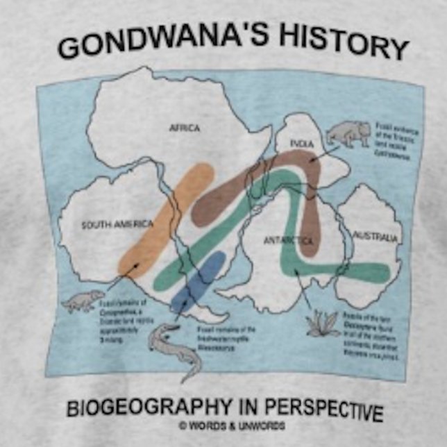 Camiseta Biogeografia histórica de Gondwana em perspectiva (Biogeographers and historians will enjoy this "Gondwana's History Biogeography In Perspective" tee)