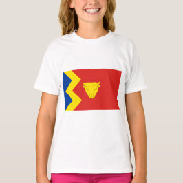 Camiseta Birmingham City Flag