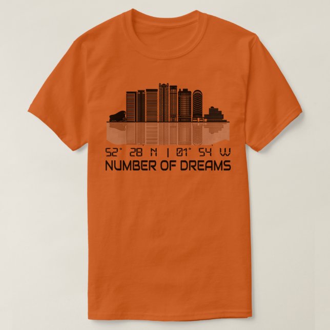 Camiseta Birmingham Skyline GPS Coordination City (Frente do Design)