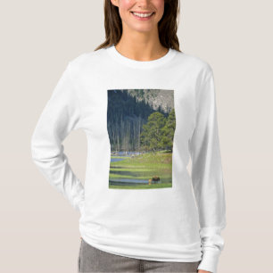Camiseta Bisão com bezerro no Parque Nacional de Yellowston