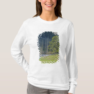 Camiseta Bisão com bezerro no Parque Nacional de Yellowston