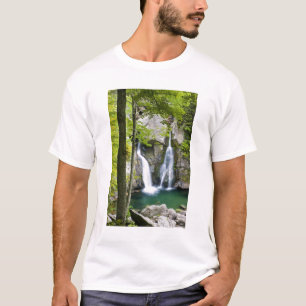 Camiseta Bish Bash Falls no Parque Estadual Bish Bash Falls