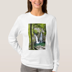 Camiseta Bish Bash Falls no Parque Estadual Bish Bash Falls