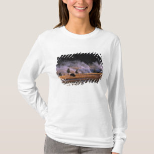 Camiseta Bisões pastando na Bacia de Gêiser Superior