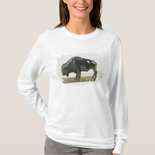 Camiseta Bisonte, 1907