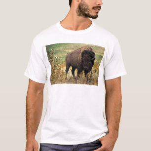 Camiseta Bisonte americano