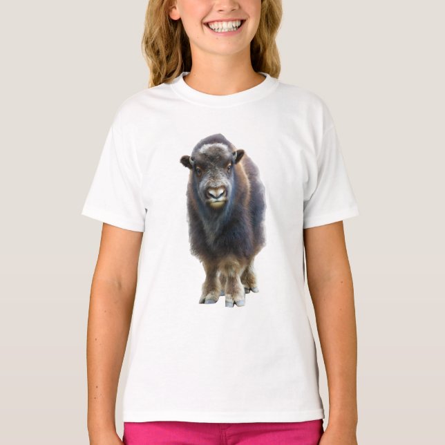 Camiseta Bisonte Americano Marrom Fofo Bezerro Crianças (Frente)