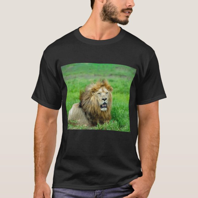 Camiseta "Blisful Lion Rest Tee" (Frente)
