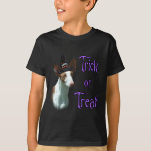 Camiseta Bloco de Hound Ibizan