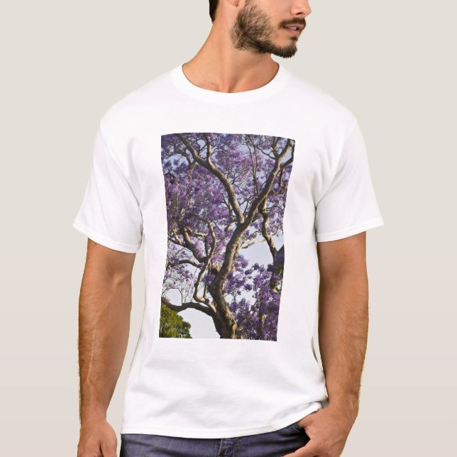 Camiseta Blooming em Jacaranda Trees em New Fazenda Park, (Frente)