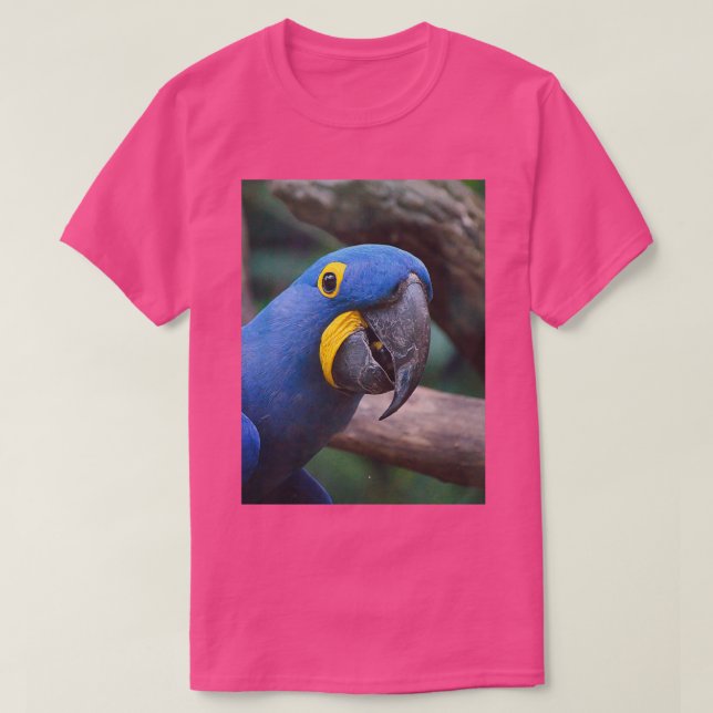 Camiseta Blue Hyacinth Macaw (Frente do Design)