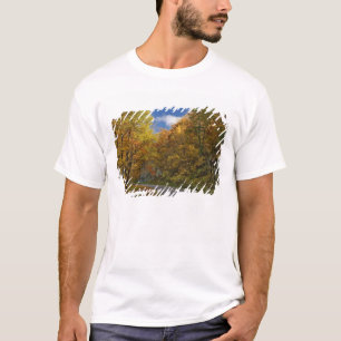 Camiseta Blue Ridge Parkway curvando as cores do outono