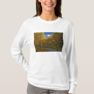 Camiseta Blue Ridge Parkway curvando as cores do outono