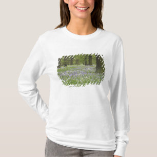 Camiseta Bluebells and Oak Trees in Primavera, Little Hagle