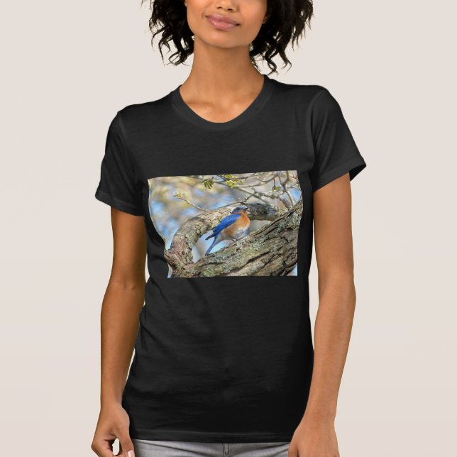 Camiseta Bluebird (Frente)