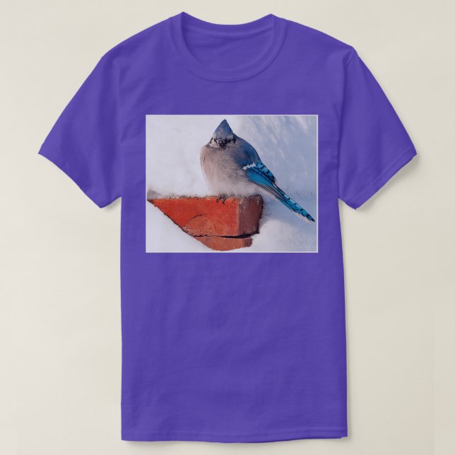 Camiseta Bluejay No Triblend Da Neve (Frente do Design)