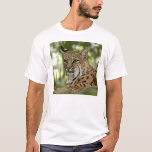 Camiseta BobcatBCR032
