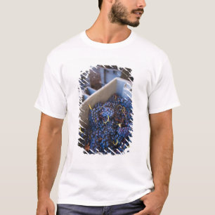 Camiseta Bodega Marques de Riscal, uvas