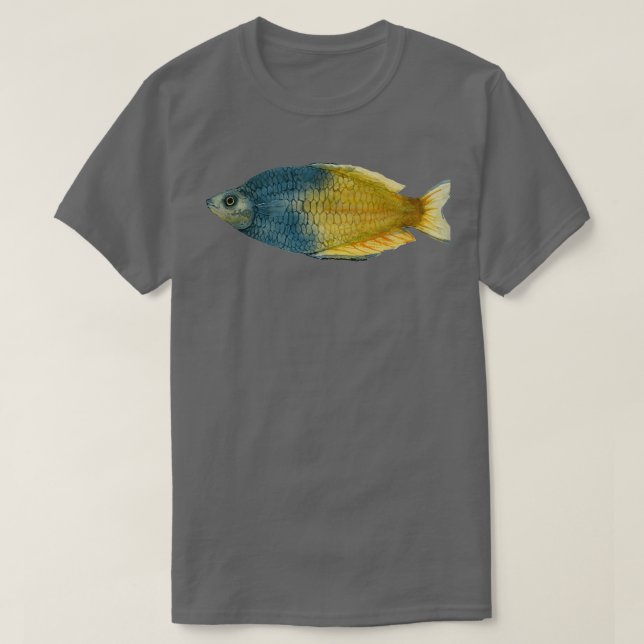 Camiseta Boesemani Rainbowfish (Frente do Design)
