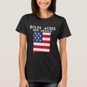 Camiseta BOLES ACRES EUA State America Viagem Novo México N