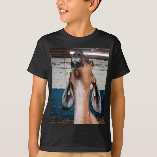 Camiseta Bonitão (Frente)