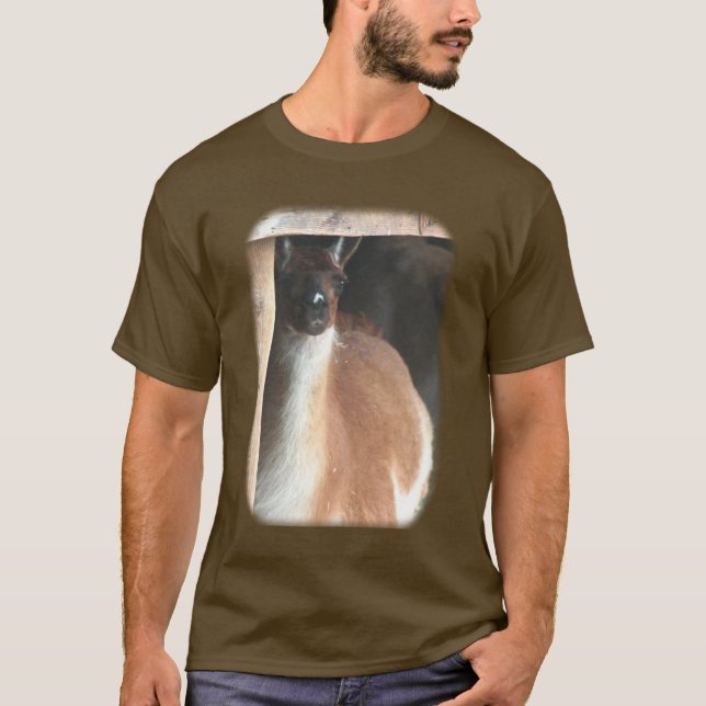 Camiseta Bonito Fazenda Llama (Frente)
