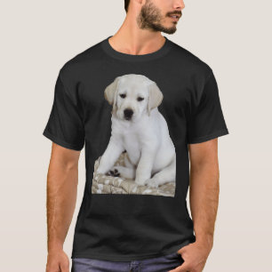 Camiseta Bonito no laboratório amarelo