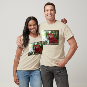 Camiseta Bonito Papagaio Vermelho