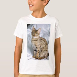 Camiseta Bonito Rosto de Gato Bengala