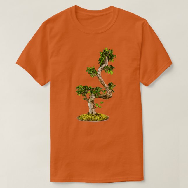 Camiseta Bonsai Tree in hand green Nature isolou White Ba (Frente do Design)