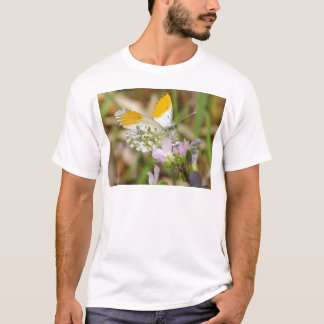Camiseta Borboleta Amarela e Branca em uma Flor de Lilás