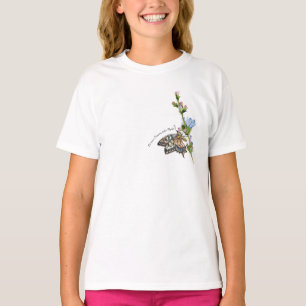 Camiseta Borboleta aquosa numa flor de chicória