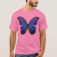 Borboleta azul lindo de Morpho