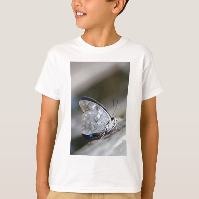 Camiseta Borboleta Cinza Azul (Frente)