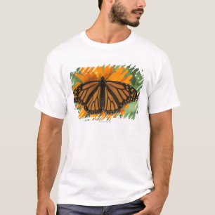 Camiseta Borboleta de monarca (plexippus do Danaus) no pote