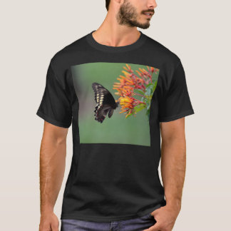 Camiseta Borboleta de Polydamus Swallowtail