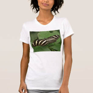 Camiseta Borboleta de Zebra Longwing T Shirt