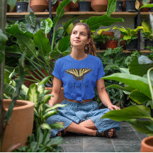 Borboleta-do-brejo simples e livre