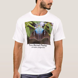Camiseta Borboleta Dois-Barrada do pisca-pisca