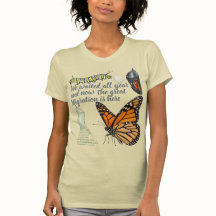 Borboleta Monarca