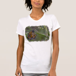 Camiseta Borboleta Monarch na Borda Branca de Grass