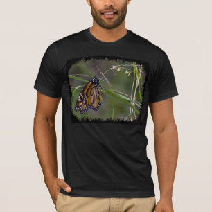 Camiseta Borboleta Monarch na Borda Negra