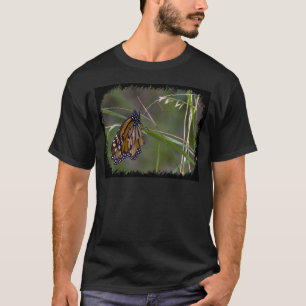 Camiseta Borboleta Monarch na Grama