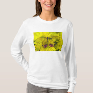 Camiseta Borboleta no Amarelo