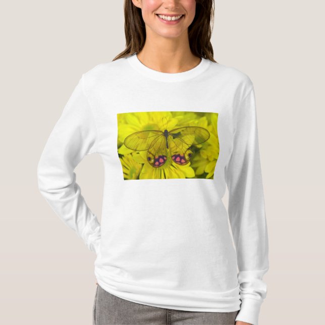 Camiseta Borboleta no Amarelo (Frente)