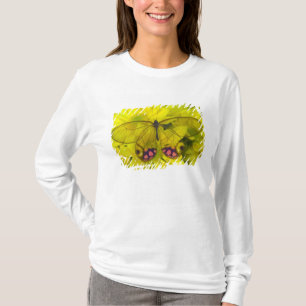 Camiseta Borboleta no Amarelo