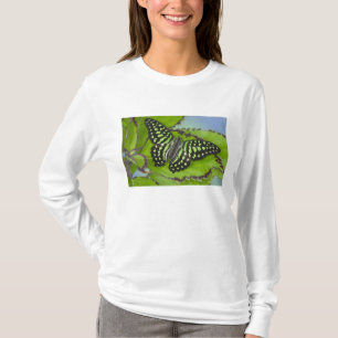 Camiseta Borboleta no Verde